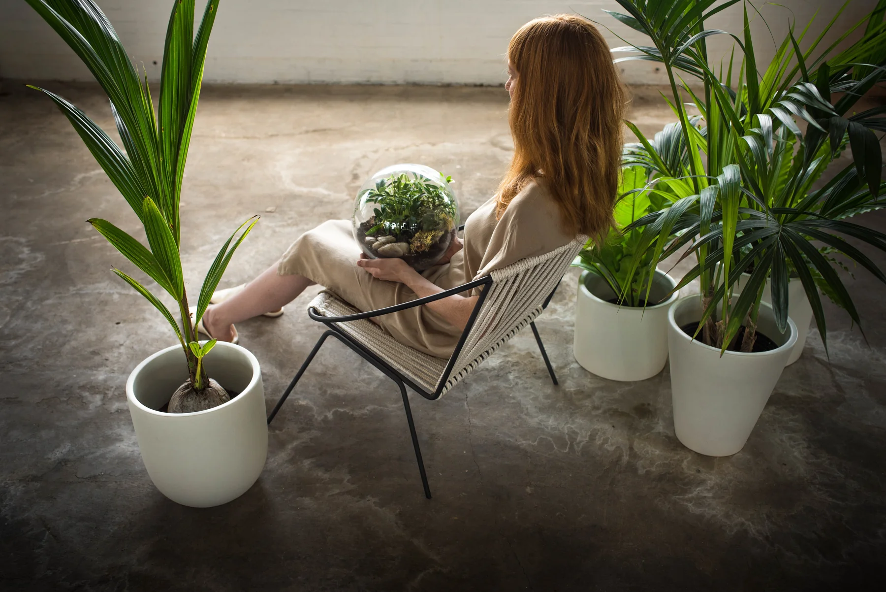 Fern